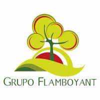 Grupo Flamboyant Unternehmensverkauf