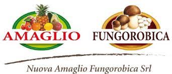 Nuova Amaglio Fungorobica Srl Unternehmensverkauf