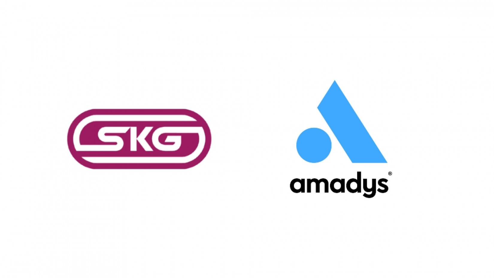Verkauf der SKG Netzwerktechnik GmbH an Amadys